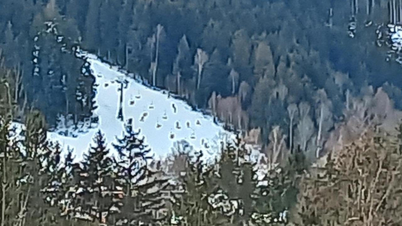 Veghouse - Penzion U Plaze Horní Bečva エクステリア 写真